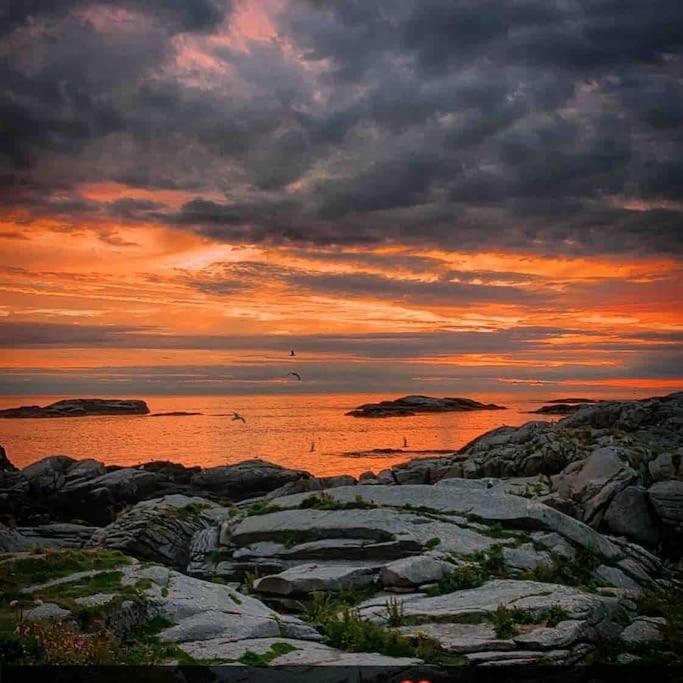 Close To Sea, Central, Rent A Boat, Mountain Hike, Wifi, Free Parking Haug Eksteriør billede